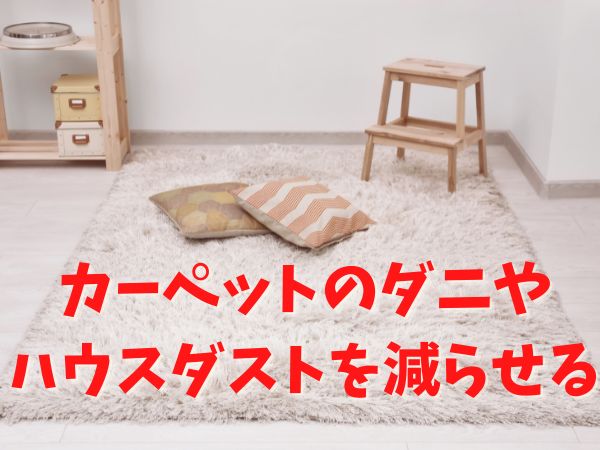 カーペットのおすすめ簡単掃除法！アレルギー防止にもなる掃除方法5つ